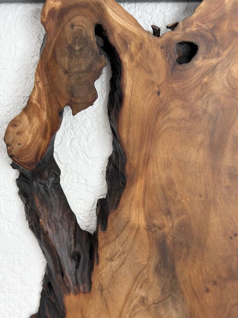2-Piece Rustic Cedar Wall Sculptures Live Edge Wood Wall Art